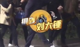 汪小菲六月爆料视频播放,揭秘背后惊人真相